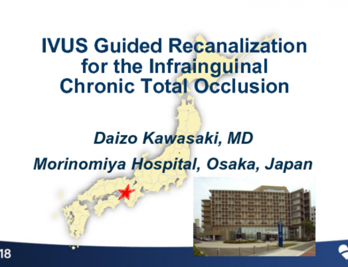 IVUS-Guided Recanalization for the Infrainguinal Chronic Total Occlusions
