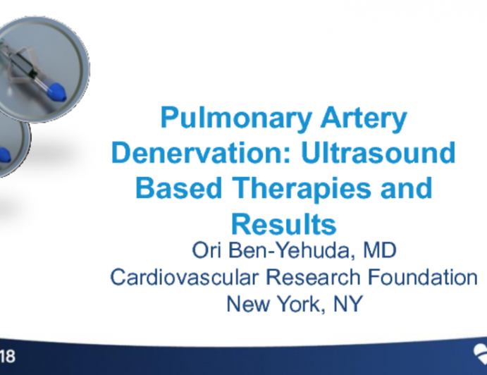 Pulmonary Artery Denervation III: Ultrasound-Based Therapy and Results