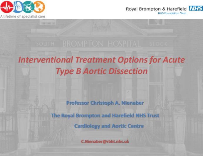 Interventional Treatment Options for Acute Type B Aortic Dissection