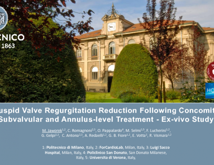 TCT-17: Tricuspid Valve Regurgitation Reduction Following Concomitant Subvalvular and Annulus-Level Treatment – Ex-Vivo Study