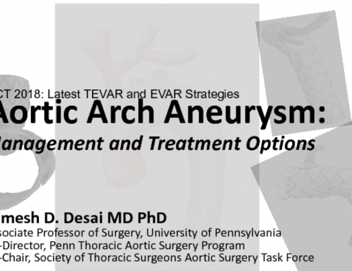 Aortic Arch Aneurysm: Management and Treatment Options With Case Examples