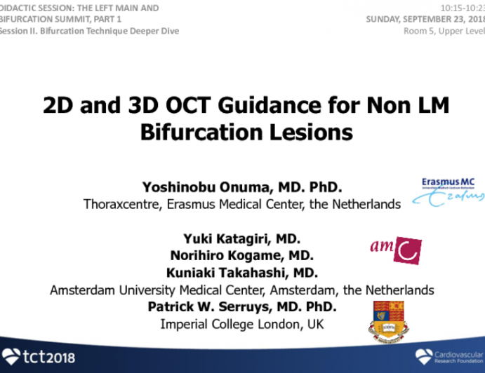 2D and 3D OCT Guidance for Non-LM Bifurcation Lesions