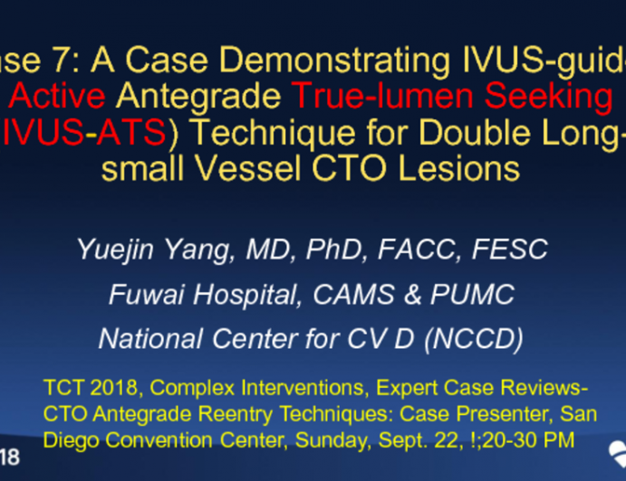 Case #7: A Case Demonstrating Active Antegrade True-Lumen Seeking