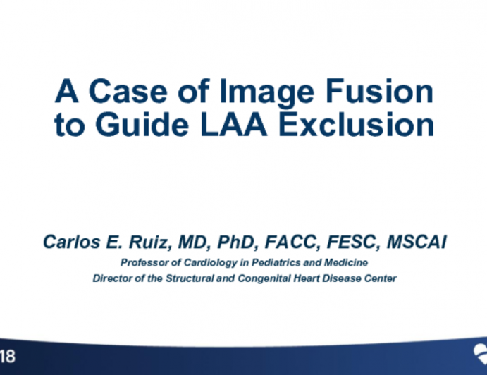 Case #5: A Case of Image Fusion Technology to Guide LAA Exclusion