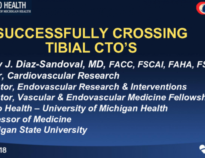 How to Optimize Success in Crossing Tibial Occlusions