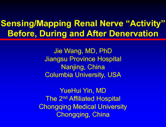 Sensing Renal Nerve Activity Before, During, and After Denervation: SyMap
