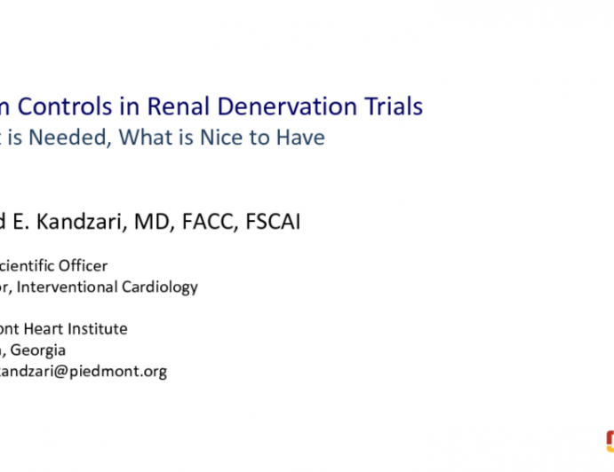 Sham Controls in Renal Denervation Studies: Need to Have vs Nice to Have?
