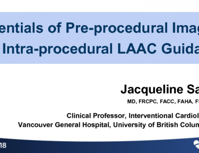 Essential of Pre-procedural Imaging and Intra-procedural Guidance