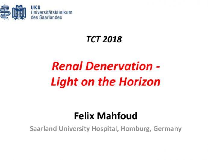 Renal Denervation: Light on the Horizon?