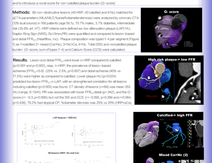 PINNS in the zoom: High risk plaque but not calcified by coronary CTA predict ischemia in non-obstructive lesions