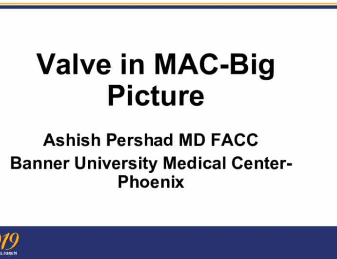 Valve in MAC-Big Picture