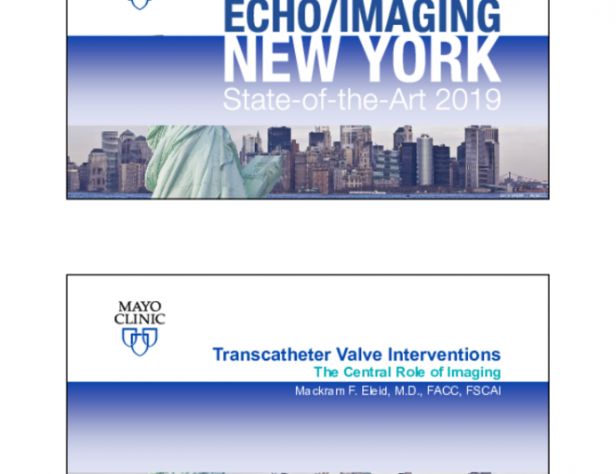 Transcatheter Valve Interventions - The Central Role of Imaging