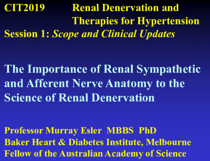 Renal Denervation and Therapies for Hypertension