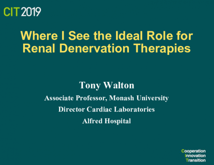 Where I See the Ideal Role for Renal Denervation Therapies