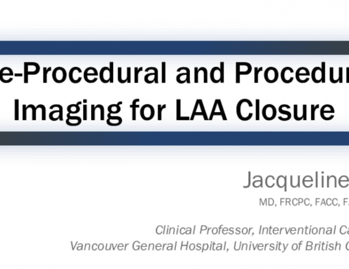 Pre-Procedural and Procedural Imaging for LAA Closure