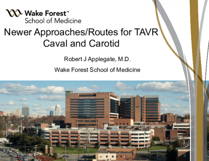 Newer Approaches/Routes for TAVRCaval and Carotid