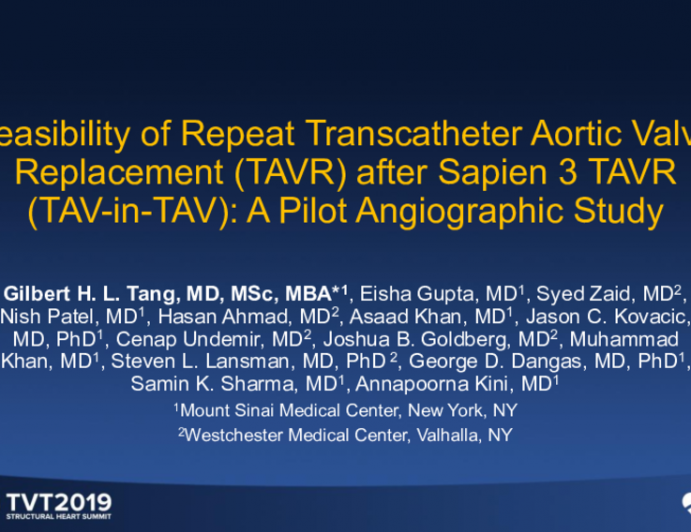 Feasibility of Repeat Transcatheter Aortic Valve Replacement (TAVR) After Sapien 3 TAVR (TAV-in-TAV): A Pilot Angiographic Study