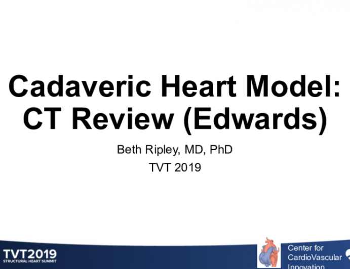 Cadaveric Heart Model: CT Analysis