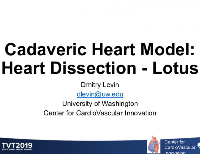 Cadaveric Heart Model: Heart Dissection