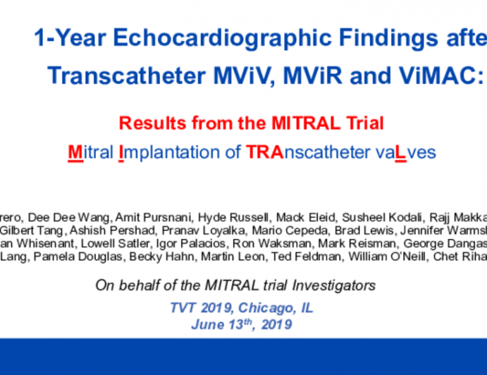 1-Year Echocardiographic Findings After Transcatheter Mitral Valve-in-Valve, Valve-in-Ring and Valve-in-Mitral Annular Calcification: Results From the MITRAL Trial