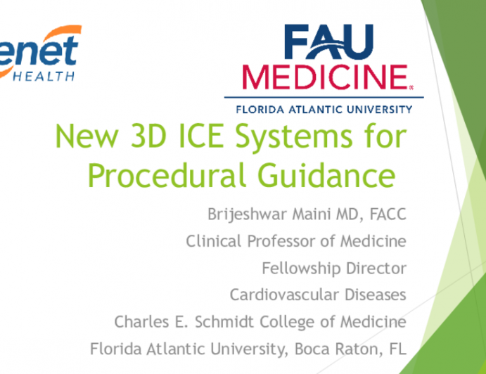 New 3-D ICE Systems for Procedural Guidance