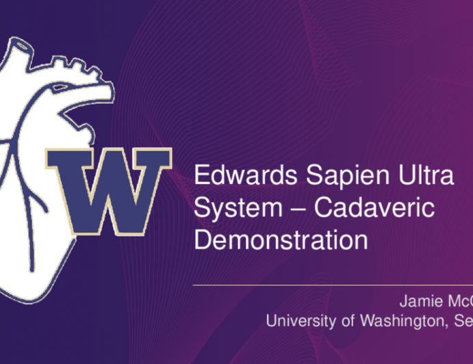 Cadaveric Heart Model: Ultra System Endoscopy