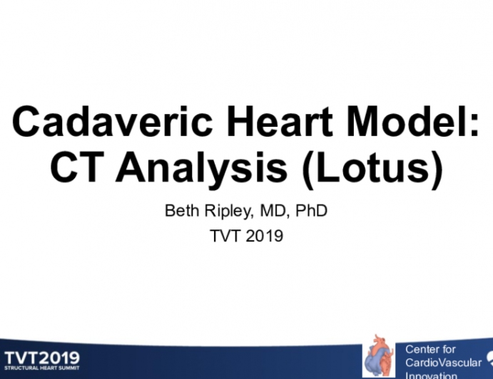 Cadaveric Heart Model: Analysis