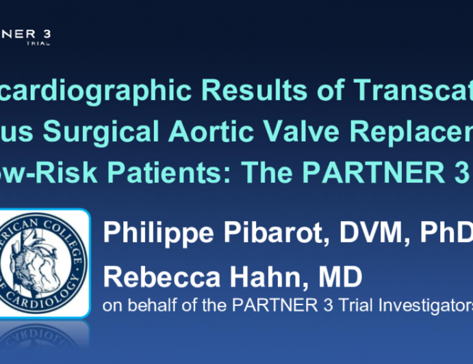 Echocardiographic Results of Transcatheter Versus Surgical Aortic Valve Replacement in Low-Risk Patients: The PARTNER 3 Trial