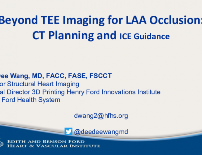 Beyond TEE Imaging for LAA Occlusion: CT Planning and ICE Guidance
