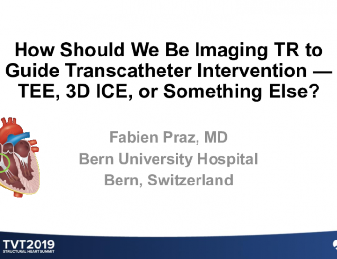 How Should We Be Imaging TR to Guide Transcatheter Intervention — TEE, 3D ICE, or Something Else?
