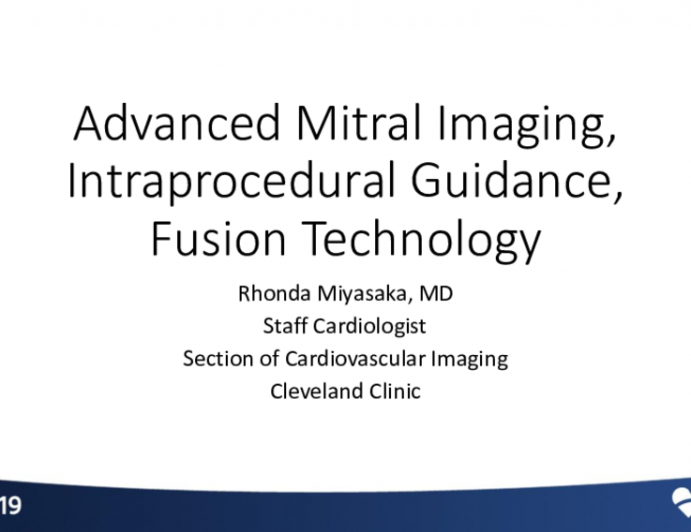 Advanced Mitral Imaging, Intraprocedural Guidance, and Image Fusion Technologies