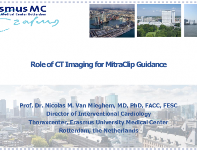 Role of CT Imaging for MitraClip Guidance