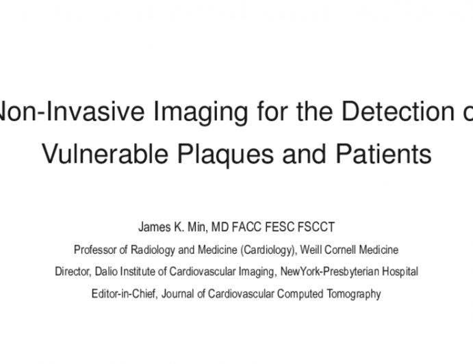 Non-Invasive Imaging for the Detection of Vulnerable Plaques and Patients