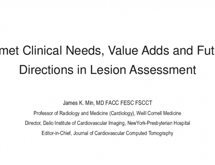 Unmet Clinical Needs, Value-Adds, and Future Directions in Lesion Assessment