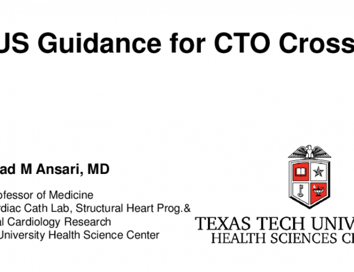 EVUS Guidance for CTO Crossing