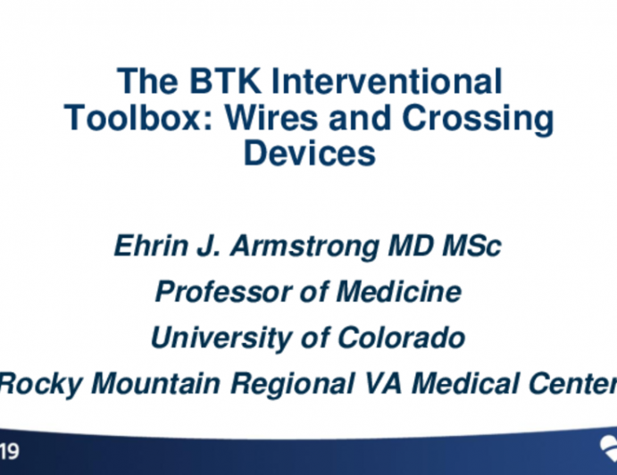 The BTK Interventional Toolbox: Wires and Crossing Devices