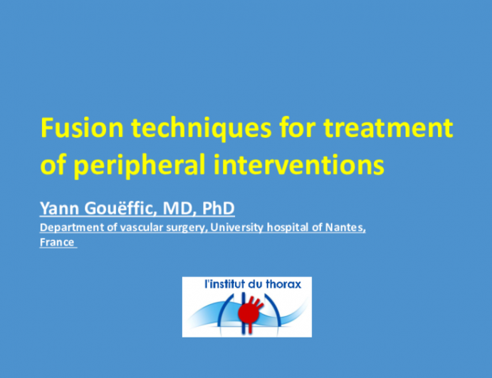 Fusion Imaging Techniques for Iliac and Lower Extremity Procedures: Reducing Radiation Exposure and Contrast Material and Providing Better Guidance