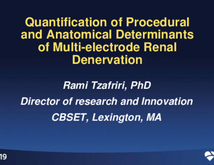 TCT 81: Quantification of Procedural and Anatomical Determinants of Multi-electrode Renal Denervation