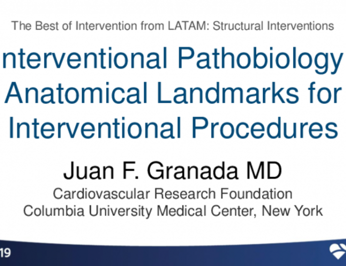 Interventional Pathobiology: Anatomical Landmarks for Interventional Procedures