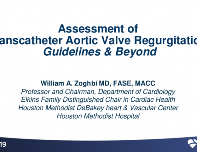 Assessment of Transcatheter Aortic Valve Regurgitation: Guidelines and Beyond