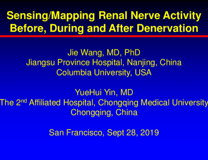 Sensing Renal Nerve Activity Before, During, and After Denervation II: Symap