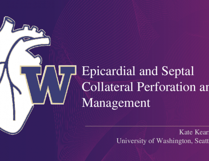 Epicardial and Septal Collateral Perforation and Management