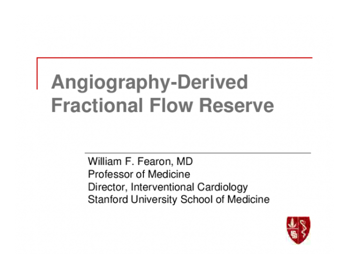 Angiography-Derived Fractional Flow Reserve
