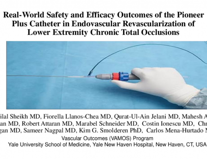 TCT 369: Real-World Safety and Efficacy Outcomes of the Pioneer Plus Catheter in Endovascular Revascularization of Lower Extremity Chronic Total Occlusions