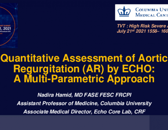 Quantitative Assessment of AR Severity by Echo: A Multi-parametric Approach