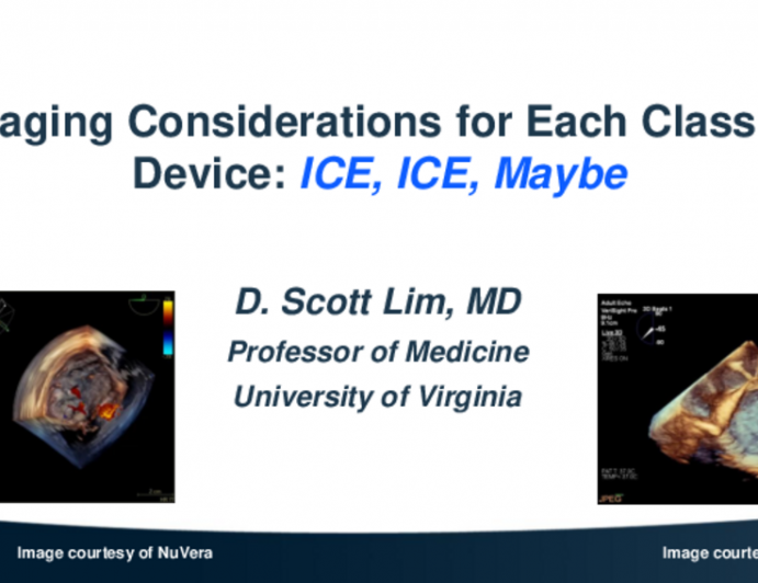 Imaging Considerations for Each Class of Devices: ICE ICE. Maybe