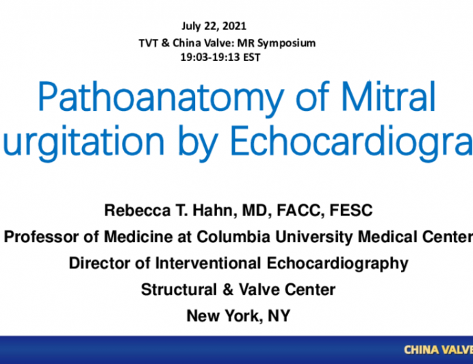 Didactic Lecture on Patho-Anatomy by Echo/TEE