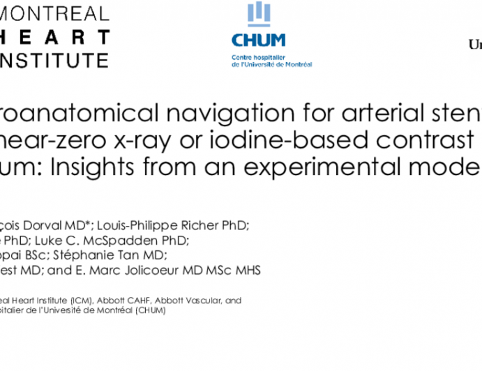 Electroanatomical Navigation for Arterial Stenting with Near-Zero X-Ray or Iodine-Based Contrast Medium: Insights from Experimental Data