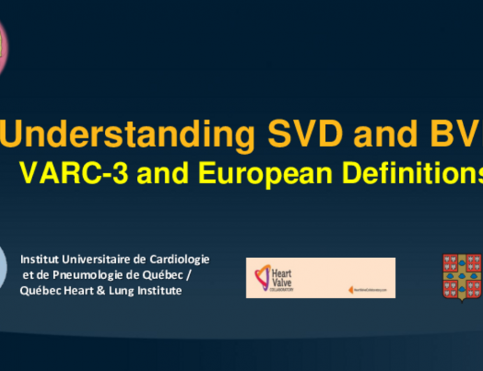 Understanding SVD and BVF: VARC-3 and European Definitions