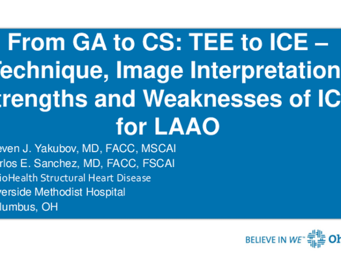 From GA to MAC: TEE to ICE – Techniques, Image Interpretation, Strengths, and Weaknesses of ICE for Left Atrial Appendage Occlusion